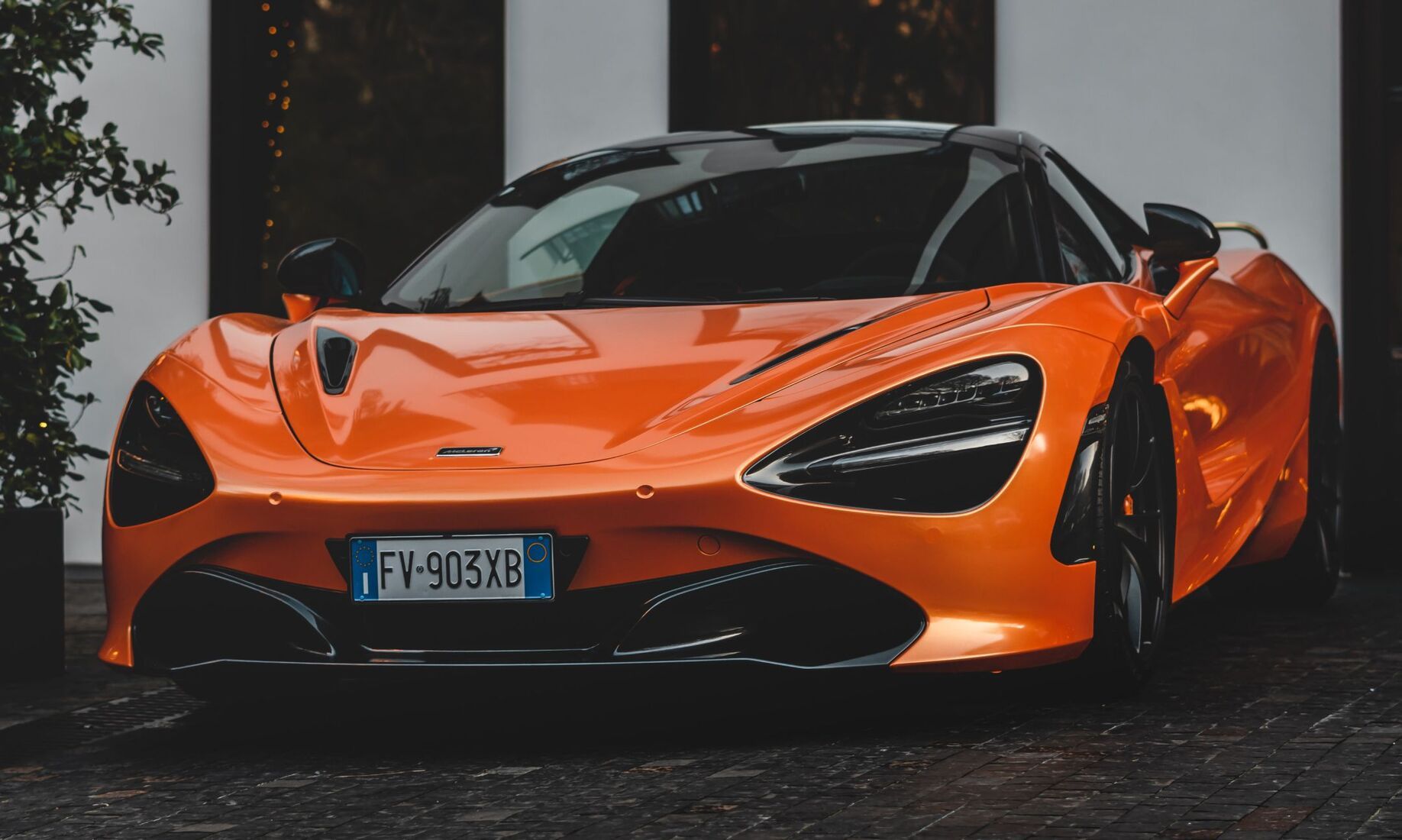  
 <span>carrallyx.store</span> 